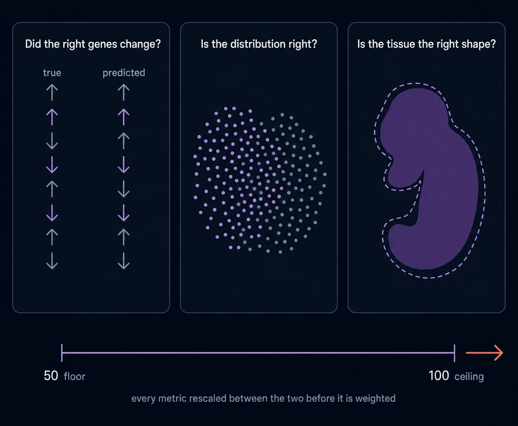 Three scoring questions — differential expression, cell-state distribution and tissue shape — above a scale running from a floor of 50 to a ceiling of 100.